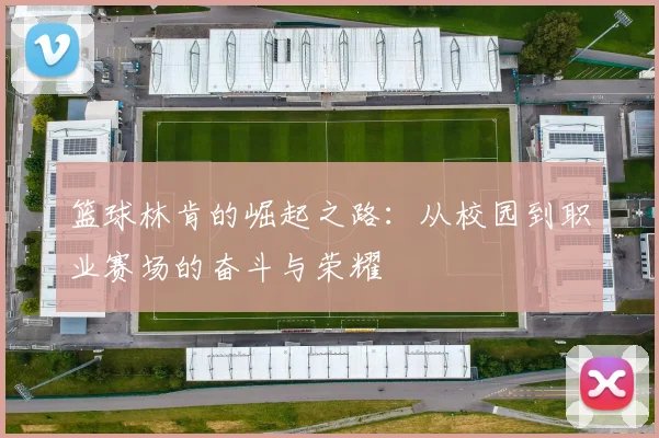 篮球林肯的崛起之路：从校园到职业赛场的奋斗与荣耀