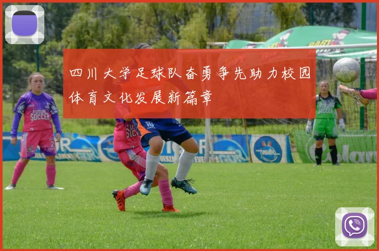 四川大学足球队奋勇争先助力校园体育文化发展新篇章