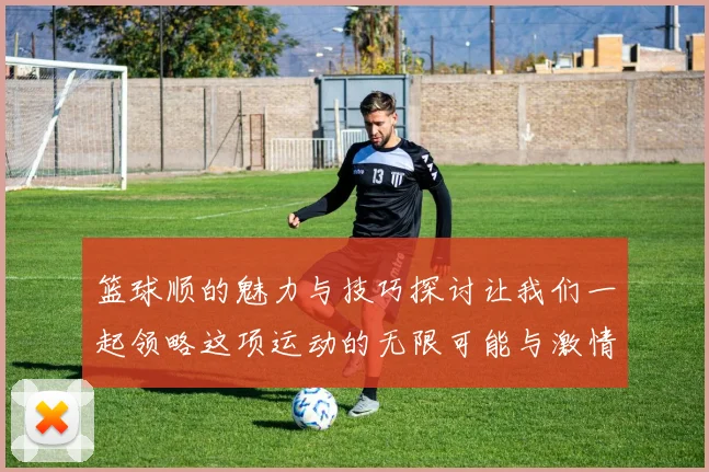 篮球顺的魅力与技巧探讨让我们一起领略这项运动的无限可能与激情